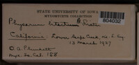 Image Associated With the Occurence